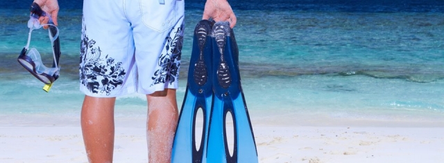  Snorkeling in the Caribbean 